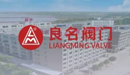 【阀门知识】止回阀：必须水平或垂直安装吗？