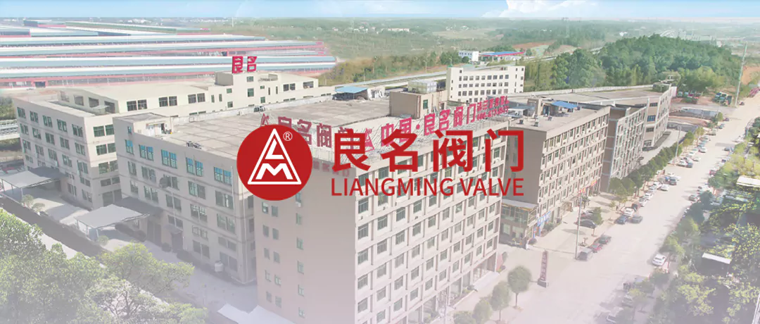 【阀门知识】止回阀：必须水平或垂直安装吗？