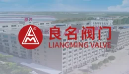 【阀门知识】减压阀的主要作用